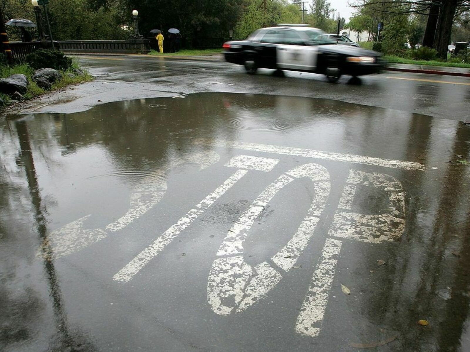 A police car drives by an intersection in the rain where the word stop is painted on the ground.